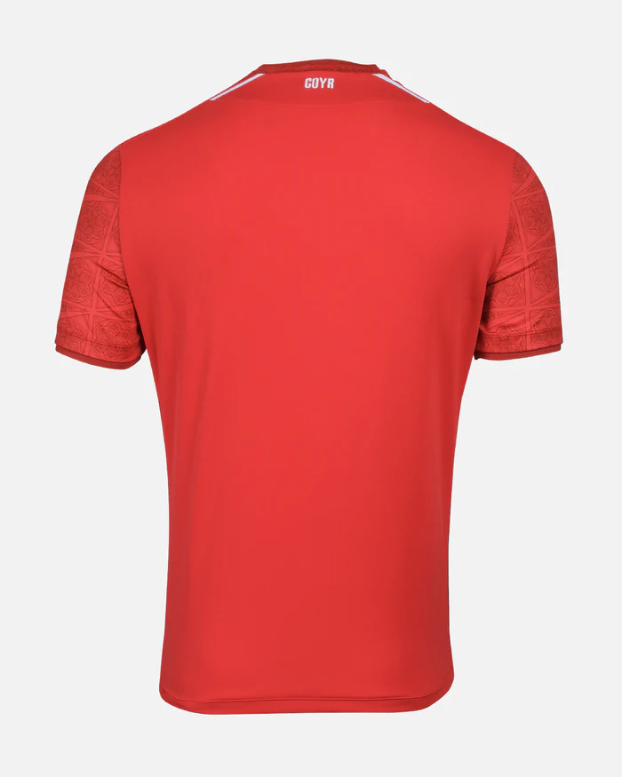 NFFC-Home-Shirt-22-23-Back_700x